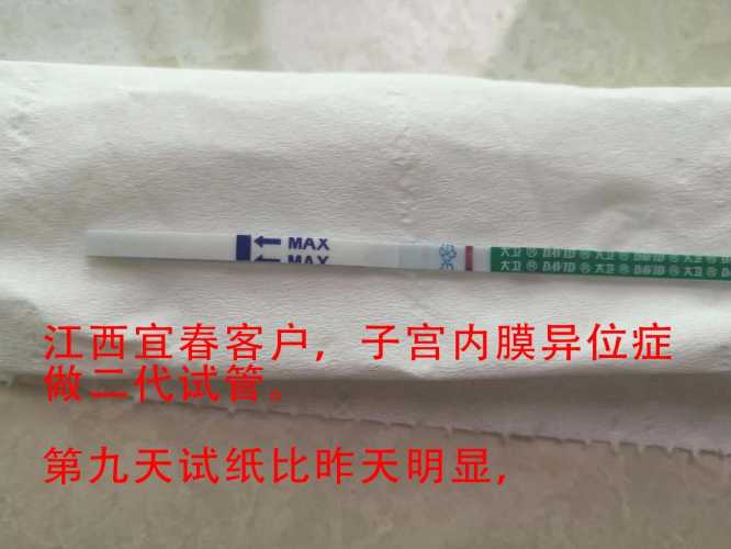 有没有做试管婴儿成功实例-第1张图片