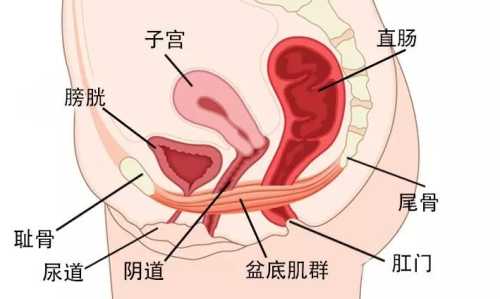 产后多久外阴口能闭合-第1张图片