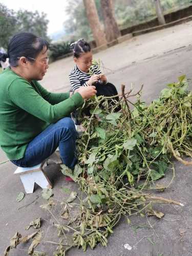 怀孕能蹲下洗衣服吗-第1张图片