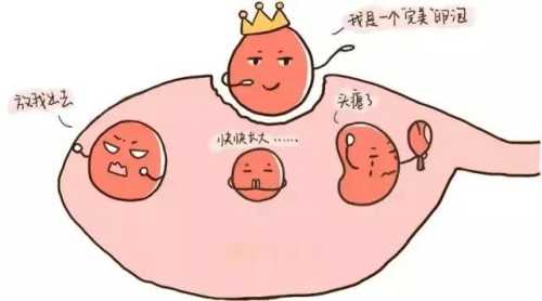 哪里有完美备孕马良坤网盘资源-第1张图片