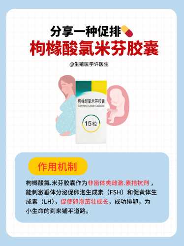 泌乳素低备孕可促排吗-第1张图片