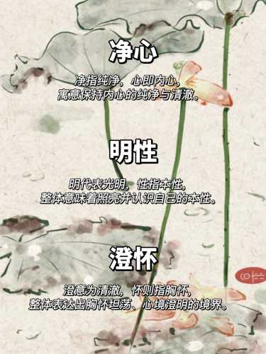 如何取适合婴儿的网名好-第1张图片