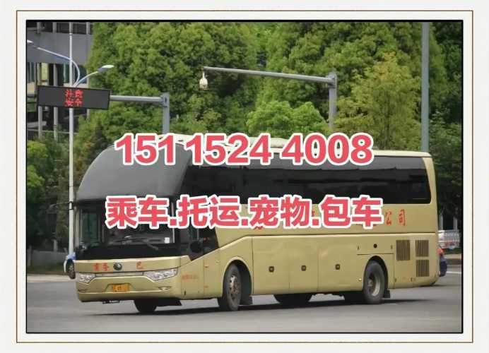 流产后能坐车吗-第1张图片