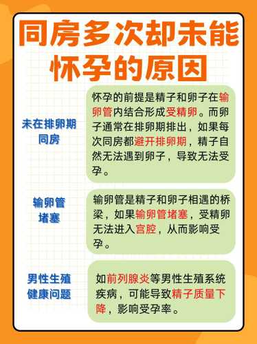 备孕同房到哪天够了-第1张图片