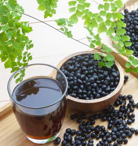 备孕期间能喝黑豆豆浆吗-第1张图片