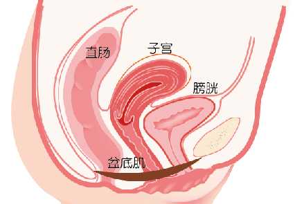 产后阴道有哪些变化-第1张图片