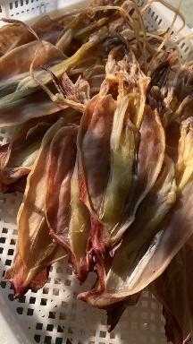 产妇坐月子能不能吃鱿鱼-第1张图片