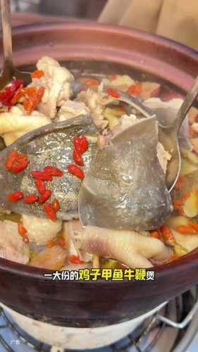 备孕吃甲鱼牛鞭是否可行-第1张图片