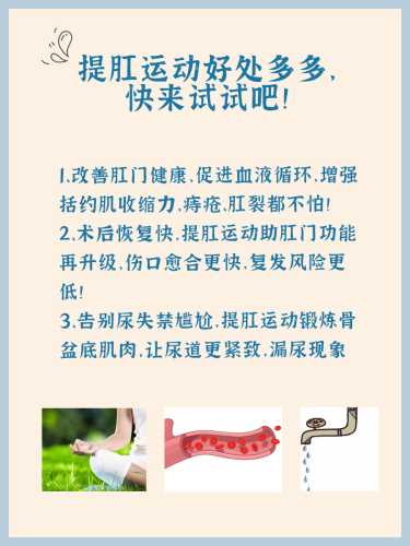 产后做提肛运动有啥好处-第1张图片