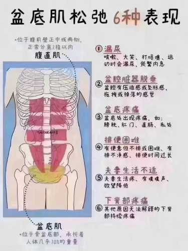 产后漏尿究竟是怎么回事-第1张图片