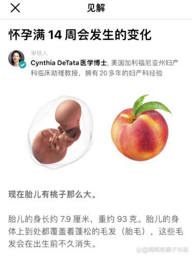 孕14周引产后需休息多久-第1张图片