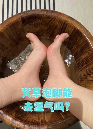 备孕用艾叶泡脚能促卵泡吗-第1张图片
