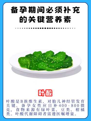 女人备孕要趁早吃叶酸吗-第1张图片