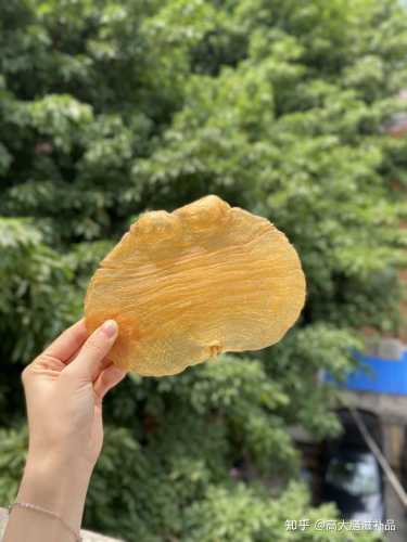 癃清片备孕可以吃吗-第1张图片