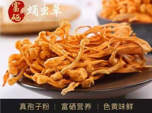 备孕的人能吃蛹虫草吗-第1张图片