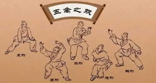 怀孕可练五禽戏吗-第1张图片