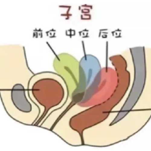 备孕老公肠胃不好怎么办-第1张图片