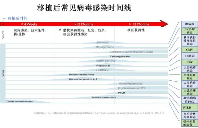 婴儿巨细胞感染怎么办-第1张图片