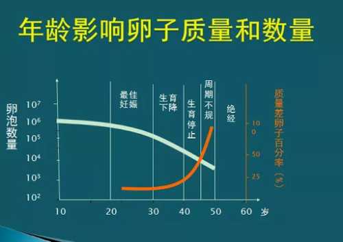 试管婴儿有哪些成功例子-第1张图片