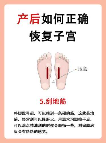 产后如何修复子宫-第1张图片