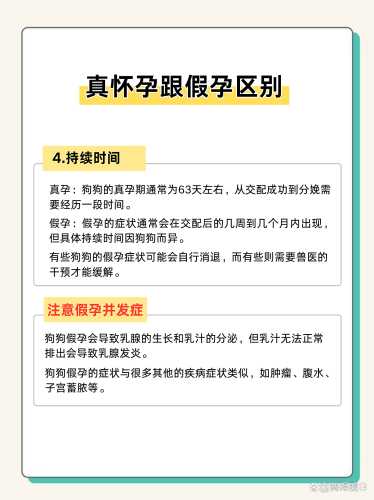 狗怀孕能喝奶粉吗-第1张图片