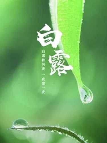 白露何时穿拉拉裤-第1张图片