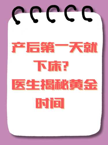 小产后多久可以备孕生孩子-第1张图片