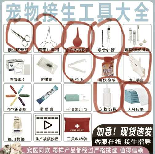 猫咪生产要准备待产包吗-第1张图片