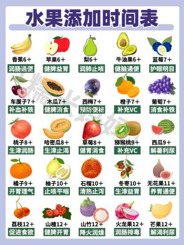婴儿辅食阶段该注意什么-第1张图片