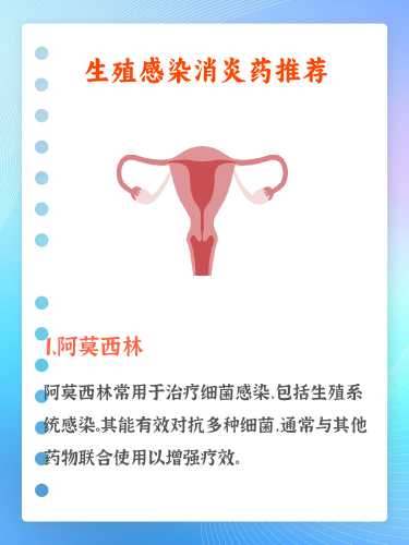 吃消炎药期间能备孕吗-第1张图片