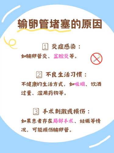 单侧输卵管备孕需多长时间-第1张图片