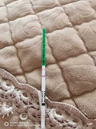 14天试纸能测出怀孕吗-第1张图片