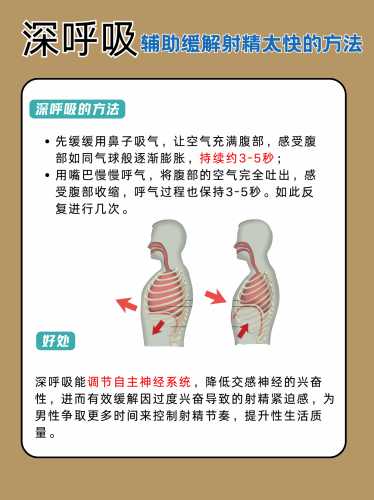 备孕男性如何进行性生活-第1张图片