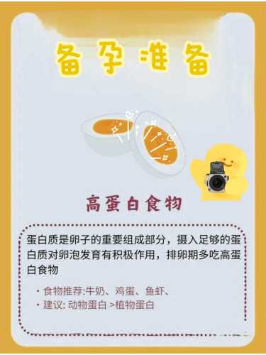 备孕需要做好哪些准备事项-第1张图片