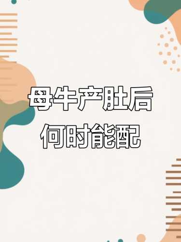 母牛产后风该如何防治-第1张图片