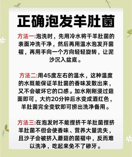 备孕中梦见捡羊肚菌啥寓意-第1张图片