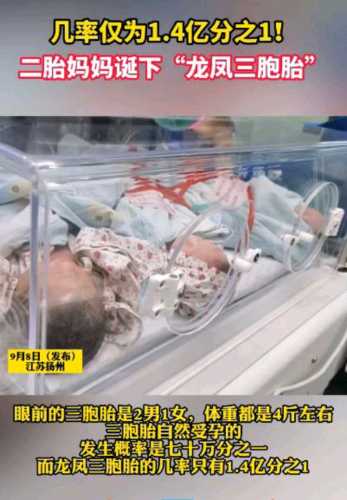 剖腹产两个月怀孕概率有多大-第1张图片