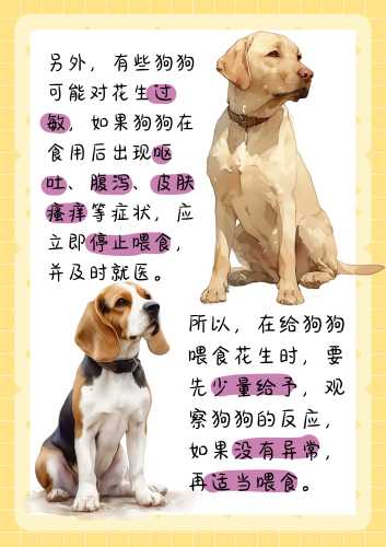 月子可以吃花生吗-第1张图片