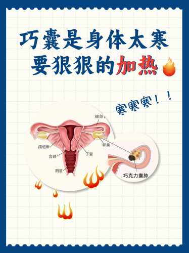 巧囊患者能否自行怀孕-第1张图片