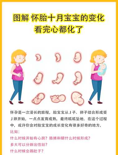 婴儿与动物之间有何奇妙关联-第1张图片