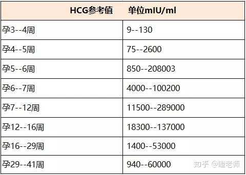 孕12w开始孕反正常吗-第1张图片