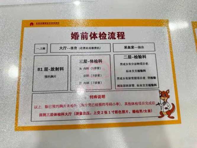 备孕中男方体检照X光有影响吗-第1张图片