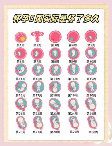 5周孕反恶心是正常现象吗-第1张图片