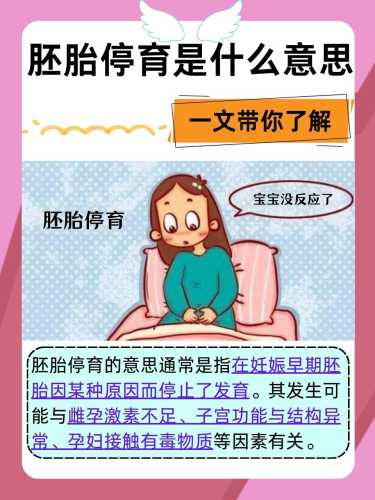 停育后多久可再怀孕-第1张图片