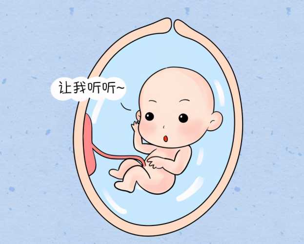 现在开始胎教晚了吗-第1张图片