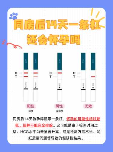 怀孕一个多月验孕棒能测出来吗-第1张图片