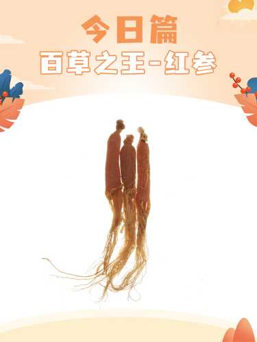 备孕夫妻能吃红生吗-第1张图片