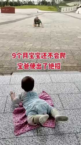 婴儿不会爬的原因有哪些-第1张图片