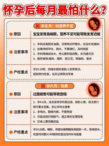 孕妇胎教一般几周合适-第1张图片