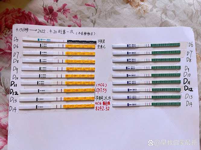 囊胚移植42天孕反啥情况-第1张图片
